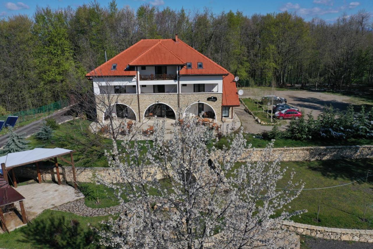 Cetatuia Hotel Măgura Eksteriør billede