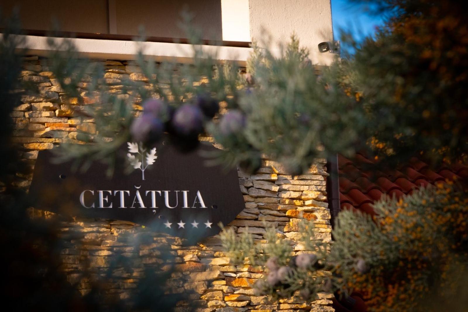 Cetatuia Hotel Măgura Eksteriør billede