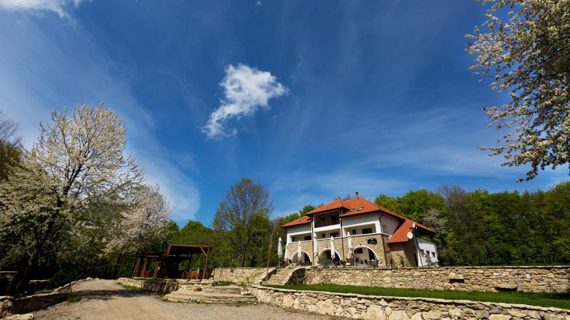 Cetatuia Hotel Măgura Eksteriør billede